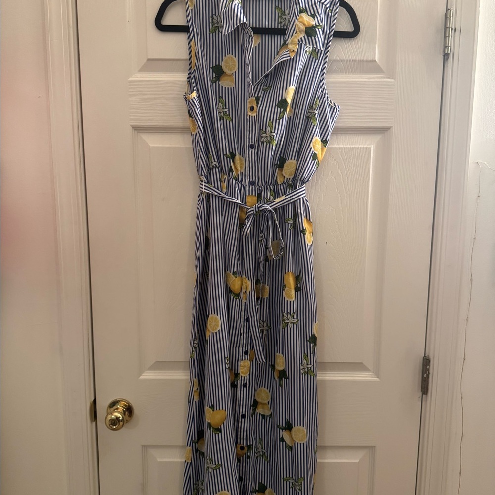 Mlle Gabrielle Lemon Print Blue and White Stripe Sleeveless Maxi Dress